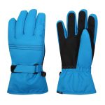 Ski Gloves