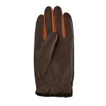 Dressing Gloves - Image 2