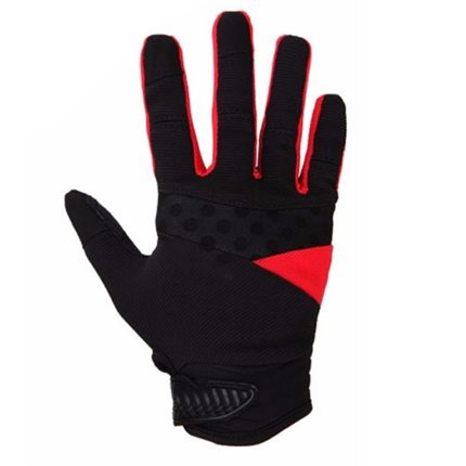 Cycling Gloves