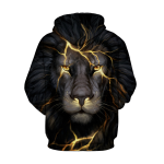 Hoodies - Image 2