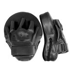 Punch Mitt